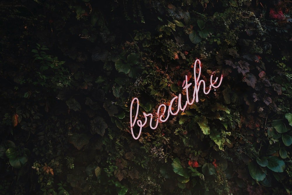 Neon sign in leaves that reads breathe Strees & Anxiety CBD Oils